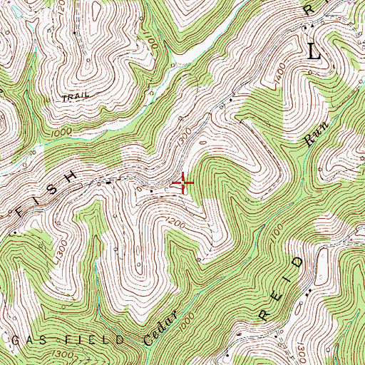 Topographic Map of Fish Ridge, WV