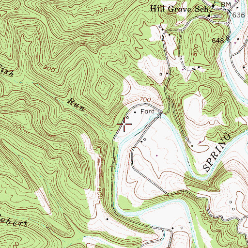 Topographic Map of Fish Run, WV