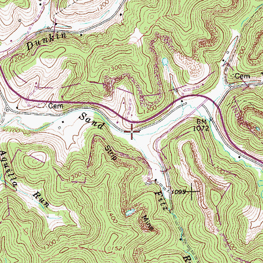Topographic Map of Fitz Run, WV