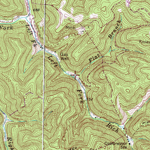 Topographic Map of Flat Branch, WV