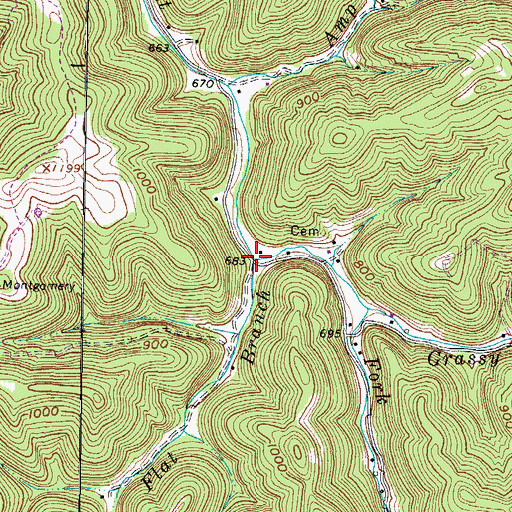Topographic Map of Flat Branch, WV
