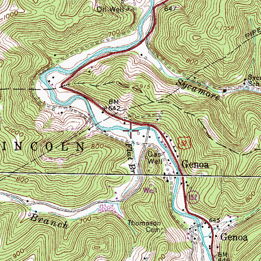 Topographic Map of Flat Branch, WV