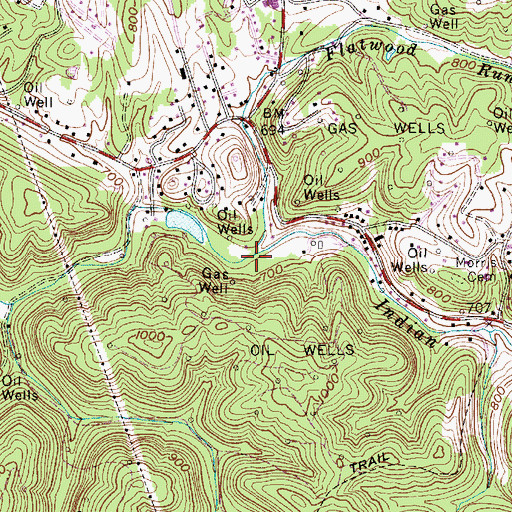 Topographic Map of Flatwood Run, WV