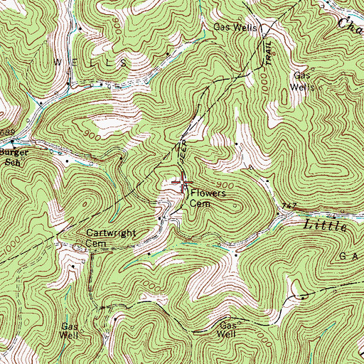 Topographic Map of Flowers Cemetery, WV