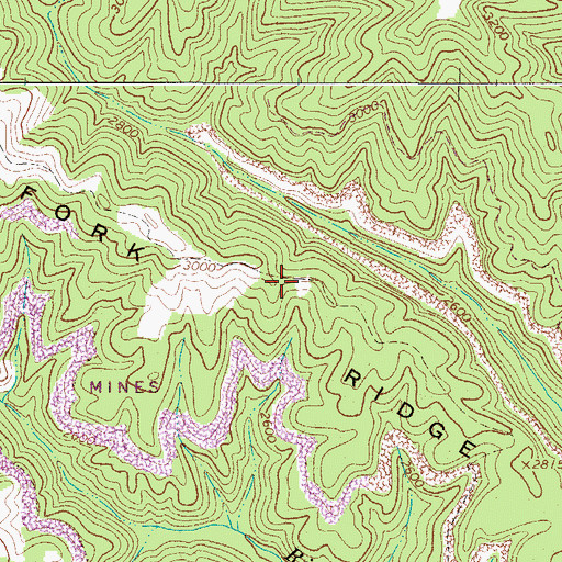 Topographic Map of Fork Ridge, WV
