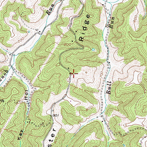 Topographic Map of Foster Ridge, WV