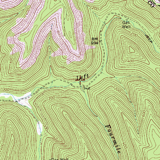 Topographic Map of Fourmile Branch, WV