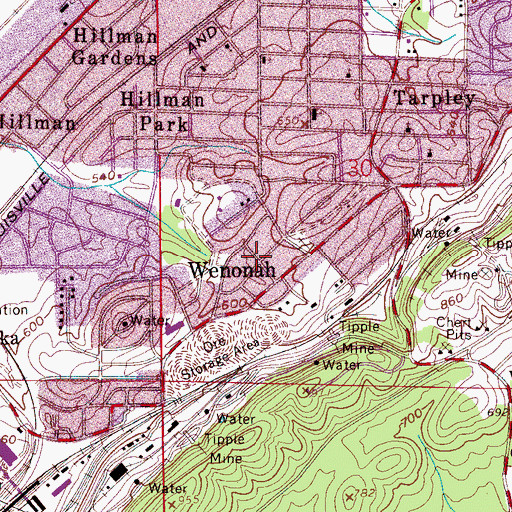 Topographic Map of Wenonah, AL