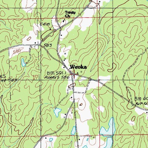 Topographic Map of Weoka, AL