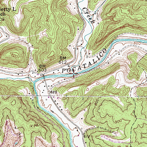 Topographic Map of Frog Creek, WV