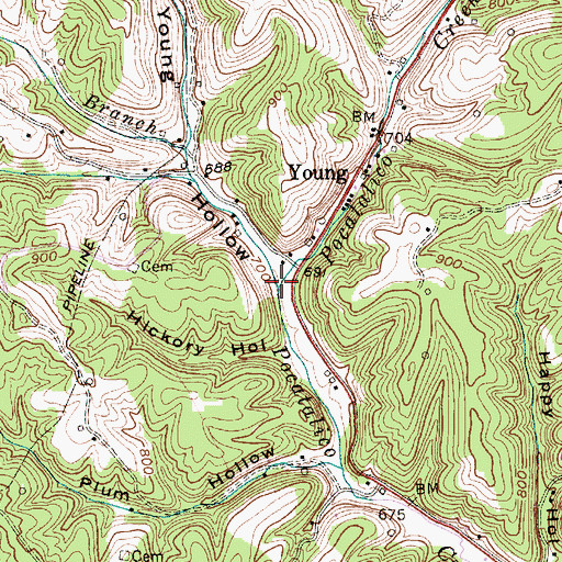 Topographic Map of Gays Branch, WV