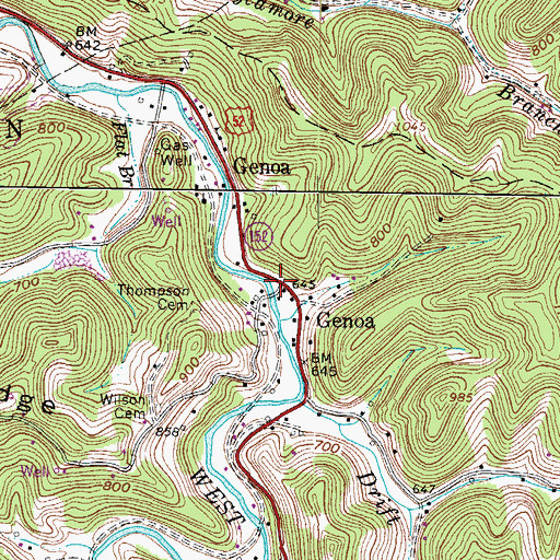 Topographic Map of Genoa, WV