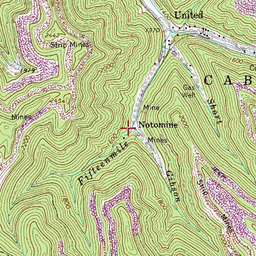 Topographic Map of Gibson Branch, WV