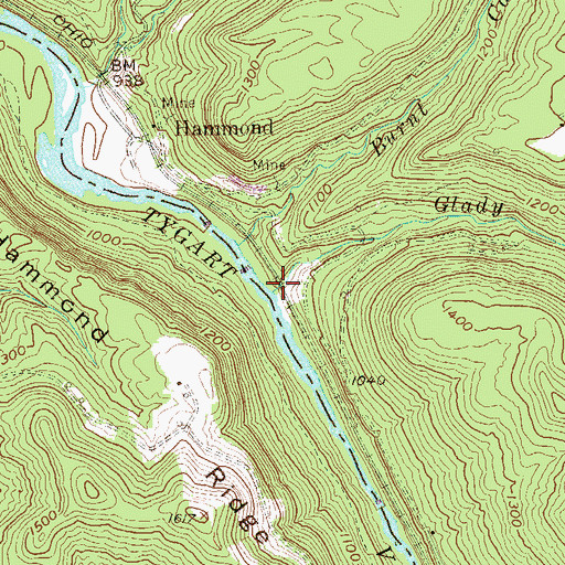 Topographic Map of Glady Creek, WV