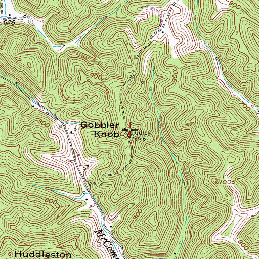 Topographic Map of Gobbler Knob, WV