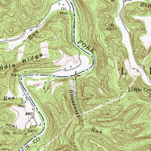 Topographic Map of Goosenest Run, WV