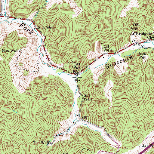 Topographic Map of Goosepen Run, WV