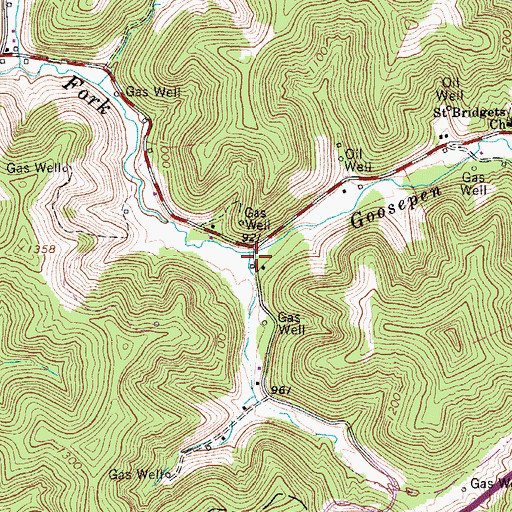 Topographic Map of Goosepen Run, WV