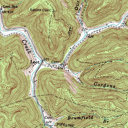 Topographic Map of Gordons Branch, WV