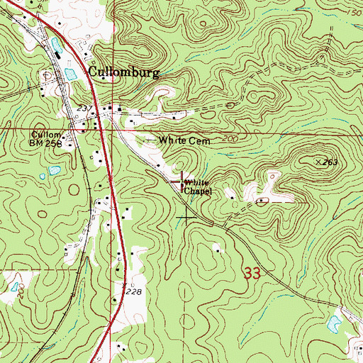 Topographic Map of White Chapel Baptist Church, AL