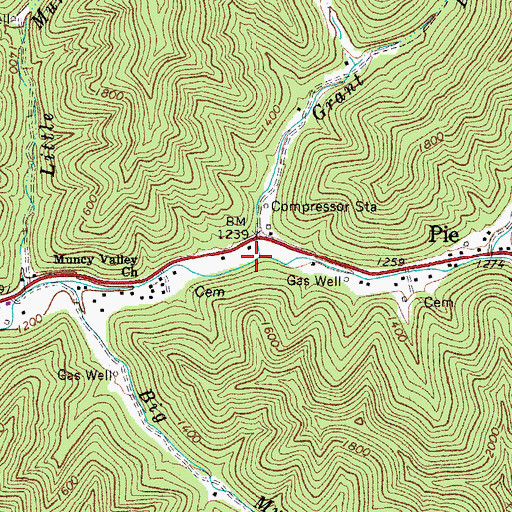 Topographic Map of Grant Branch, WV