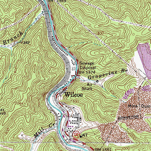 Topographic Map of Grapevine Branch, WV