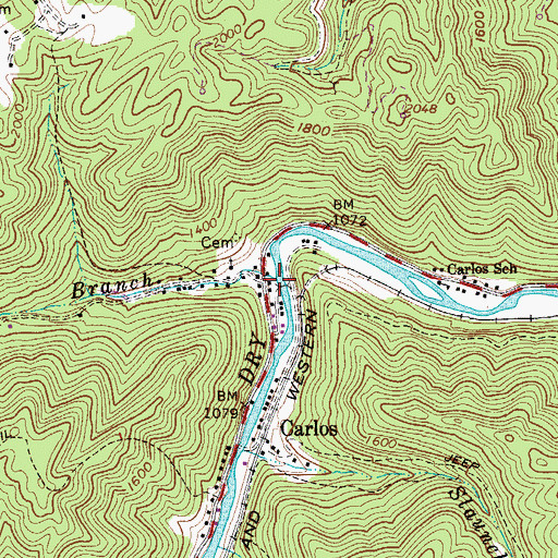 Topographic Map of Grapevine Branch, WV