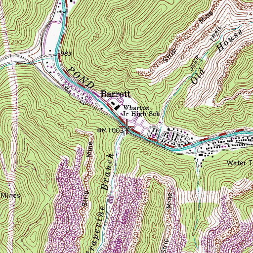 Topographic Map of Grapevine Branch, WV