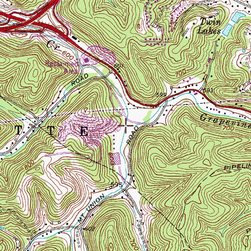 Topographic Map of Grapevine Branch, WV
