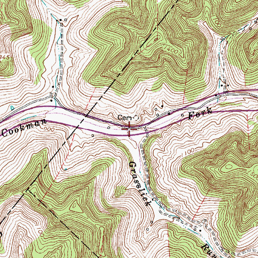Topographic Map of Grasslick Run, WV
