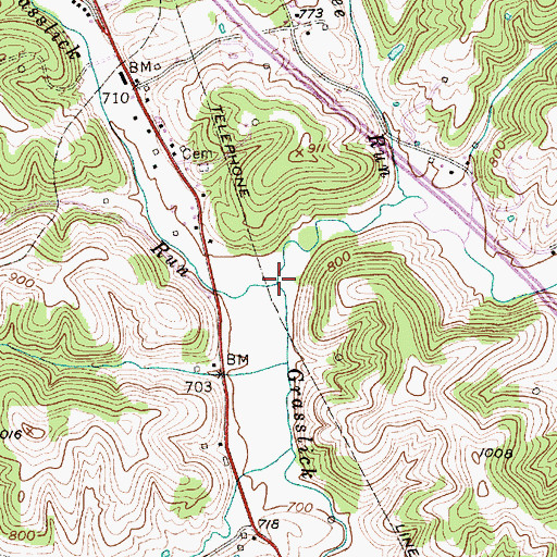 Topographic Map of Grasslick Run, WV