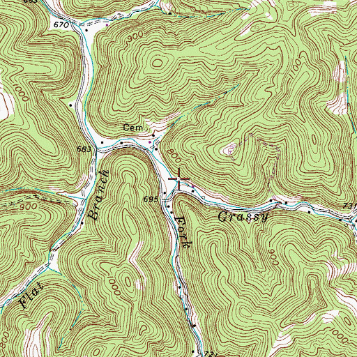 Topographic Map of Grassy Branch, WV