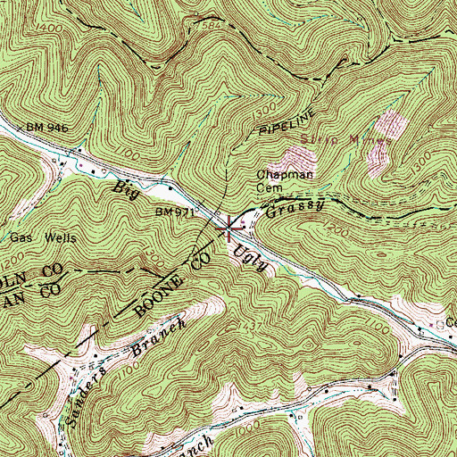 Topographic Map of Grassy Fork, WV