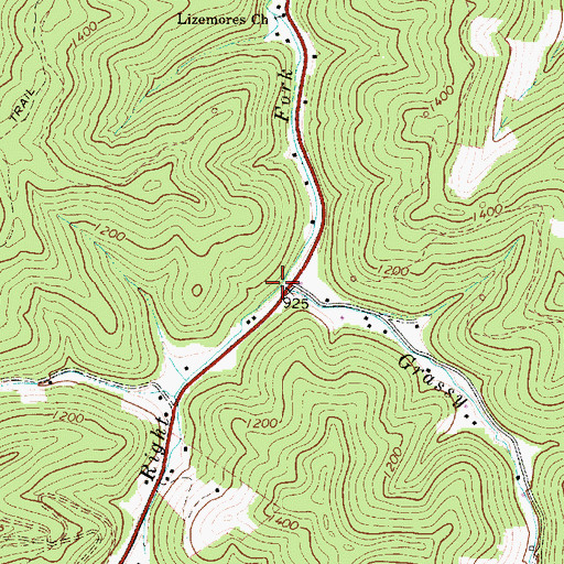 Topographic Map of Grassy Fork, WV