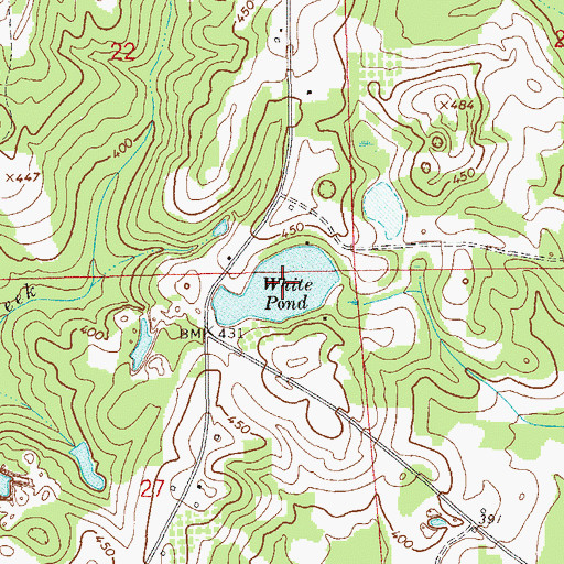 Topographic Map of White Pond, AL