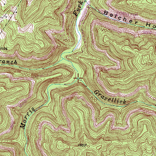 Topographic Map of Gravelick Branch, WV