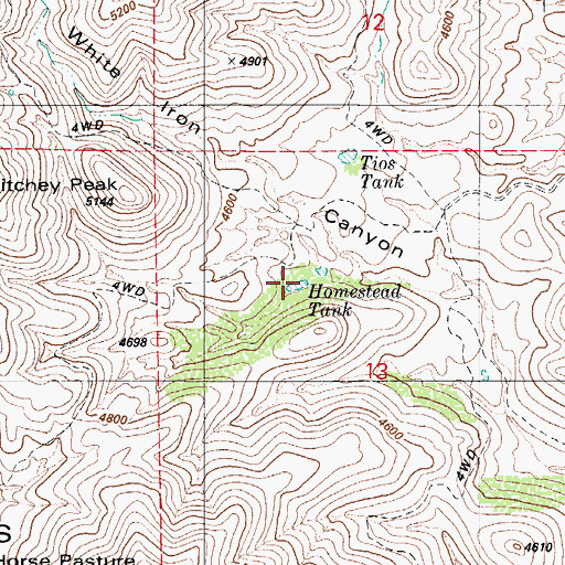 Topographic Map of Homestead Tank, AZ