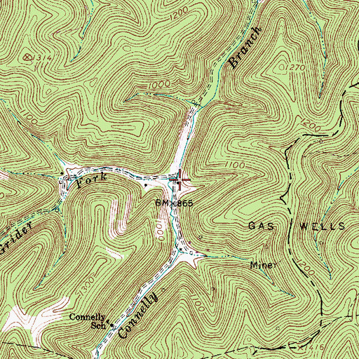 Topographic Map of Grider Fork, WV