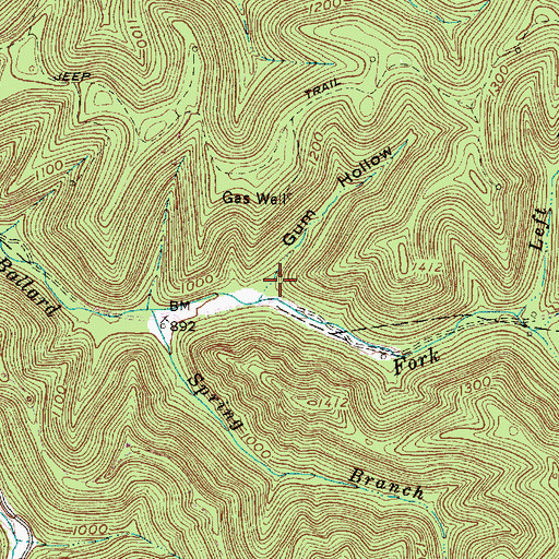 Topographic Map of Gum Hollow, WV