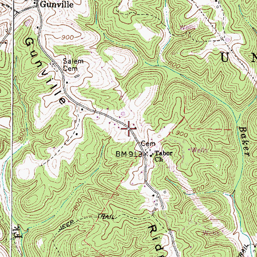 Topographic Map of Gunville Ridge, WV