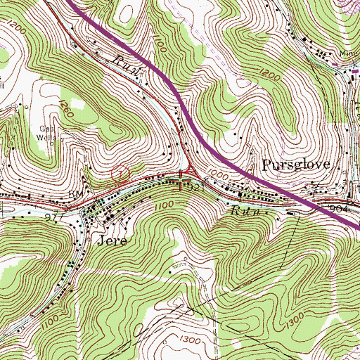 Topographic Map of Guston Run, WV