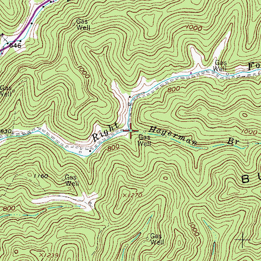 Topographic Map of Hagerman Branch, WV
