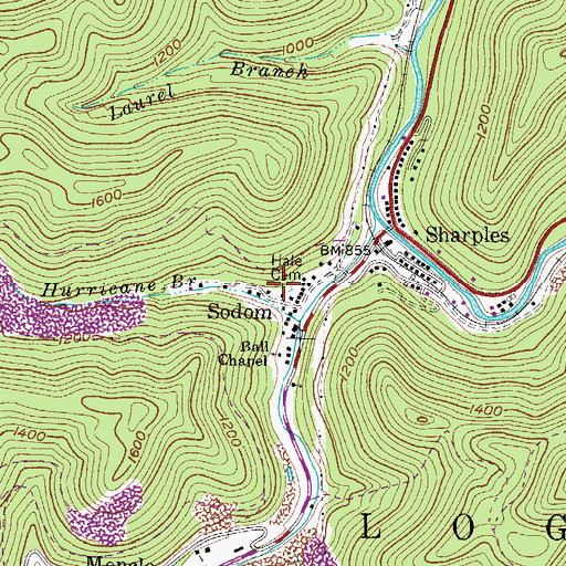 Topographic Map of Hale Cemetery, WV