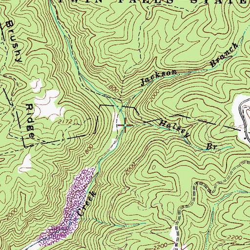Topographic Map of Halsey Branch, WV