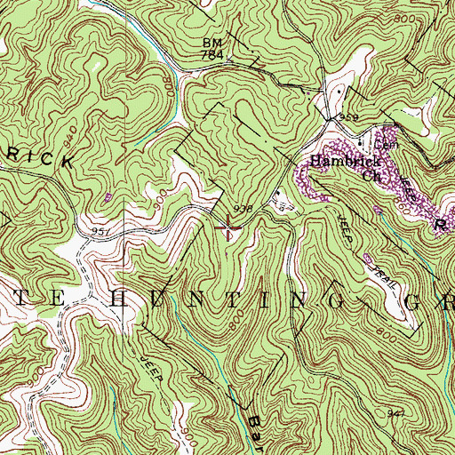 Topographic Map of Hambrick Ridge, WV