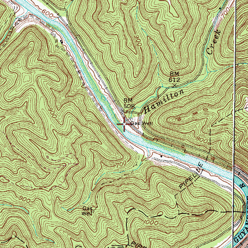 Topographic Map of Hamilton Creek, WV