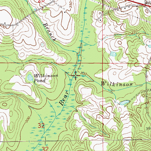 Topographic Map of Wilkinson Branch, AL