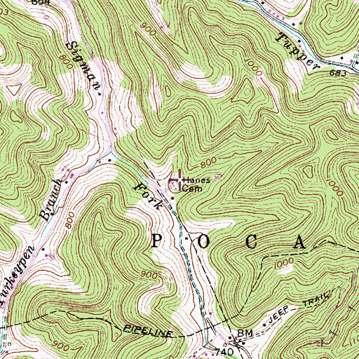 Topographic Map of Hanes Cemetery, WV
