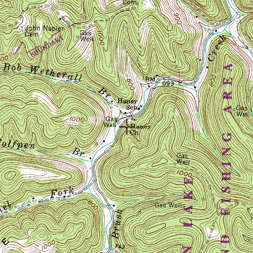 Topographic Map of Haney Church, WV
