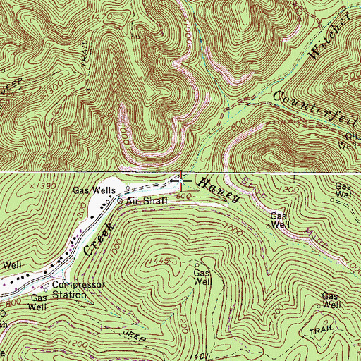 Topographic Map of Haney Fork, WV